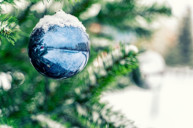 Blauwe kerstbal op vuren takken bedekt met sneeuw/