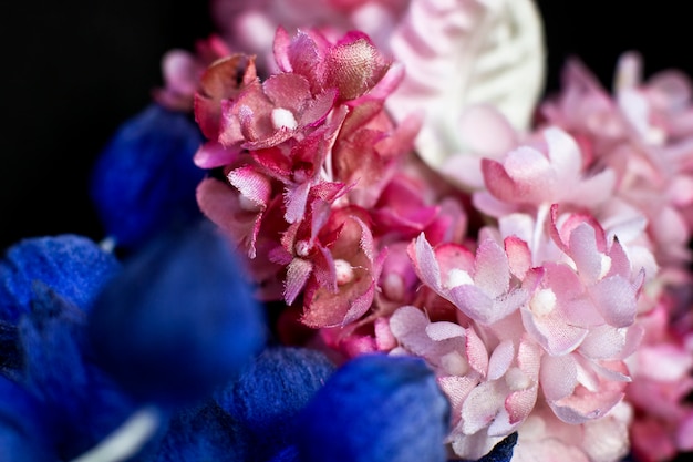 Blauwe knoppen en roze seringen op een zwarte achtergrond. Kunstbloemen