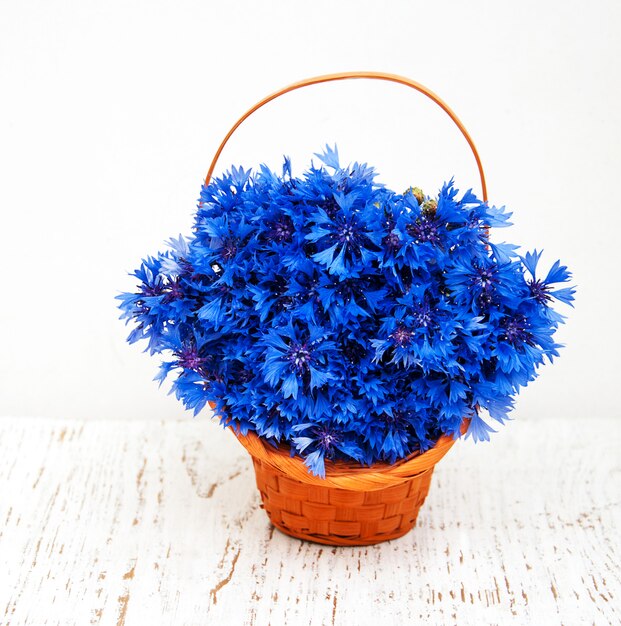 Blauwe korenbloemen