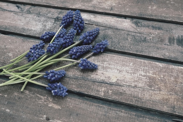 Blauwe Lentebloemen op een houten achtergrond muscari armeniacum op een houten achtergrond heldere briefkaart