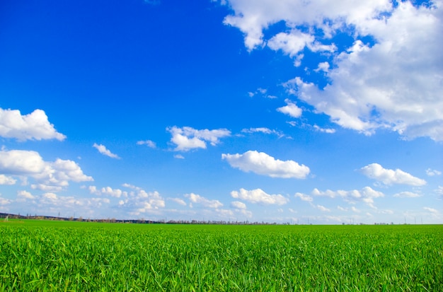 Blauwe lucht landschap