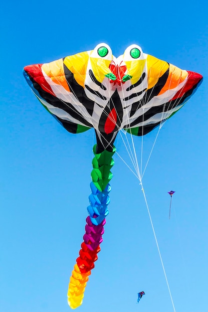 Blauwe lucht met kleurrijke vliegers met dierlijke vorm