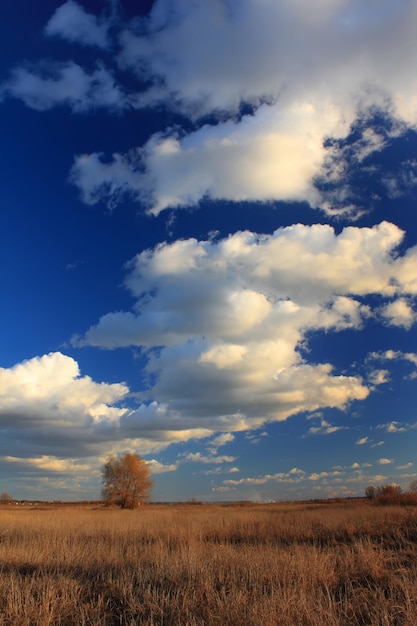 Blauwe lucht met wolken boven het veld in het vroege voorjaar