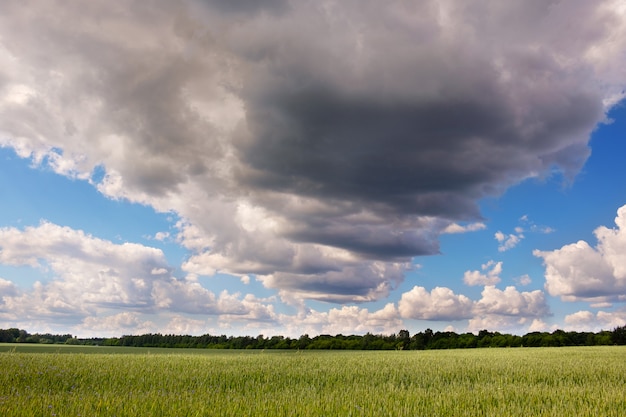 Blauwe lucht met wolken en groene veld achtergrond