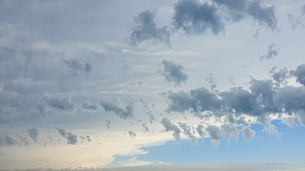 Blauwe lucht met wolken, vliegende vogels en groene takken. Zomer natuur. Weg.