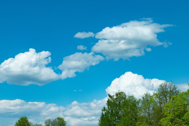 Blauwe lucht met wolkenclose-up