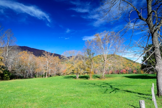 Blauwe luchten bij Cades Cove