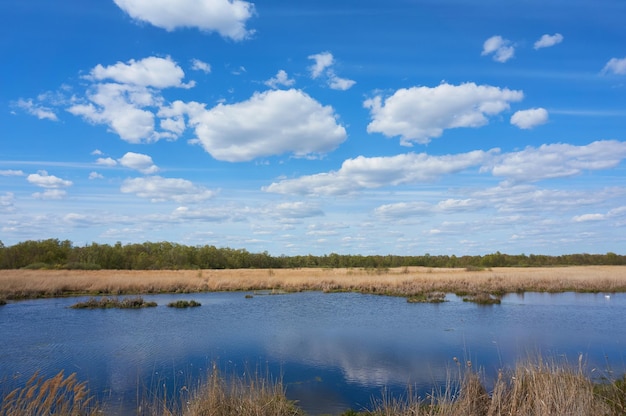 Foto blauwe mooie lucht met cirruswolken op de achtergrond van het meer natuurachtergrond