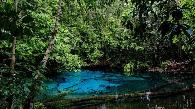 Blauwe of smaragdgroene pool in Nationaal park Sa Morakot Krabi Thailand