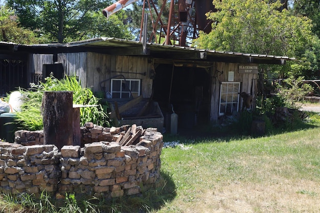 Blauwe ossenmolen in Humboldt County Califonia