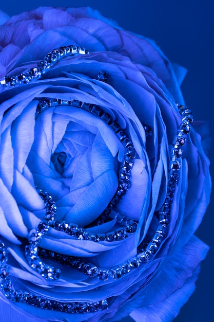 Foto blauwe ranunculus met sieraden oorbellen ketting