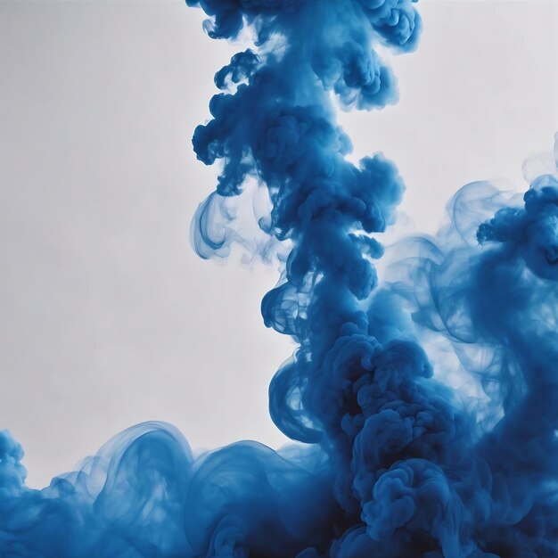 Blauwe rook op witte achtergrond