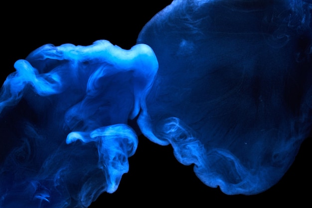 Blauwe rook op zwarte inktachtergrond, kleurrijke mist, abstracte wervelende oceaanzee, acrylverfpigment onder water