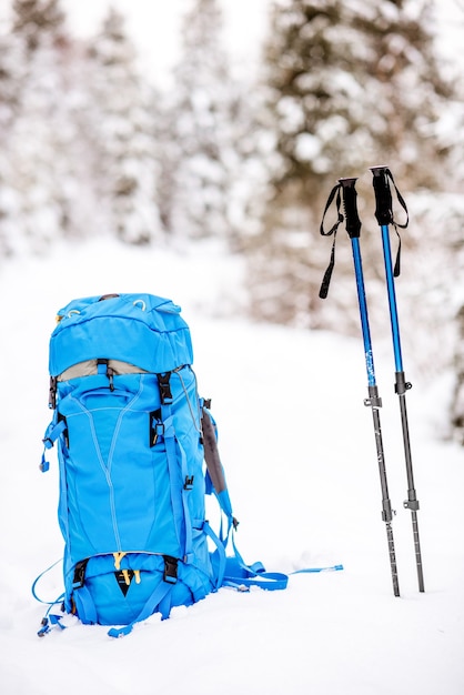 Blauwe rugzak en volgstokken in het besneeuwde dennenbos. Winterwandelconcept