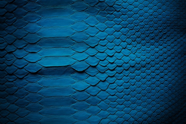 Blauwe slang huid textuur abstracte lege achtergrond