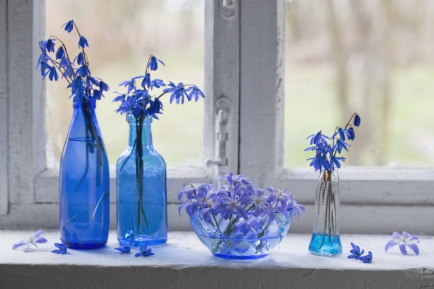 Blauwe sneeuwklokjes op oude vensterbank