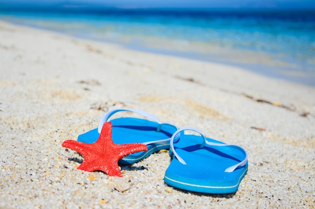 Blauwe teenslippers en rode zeesterren aan zee