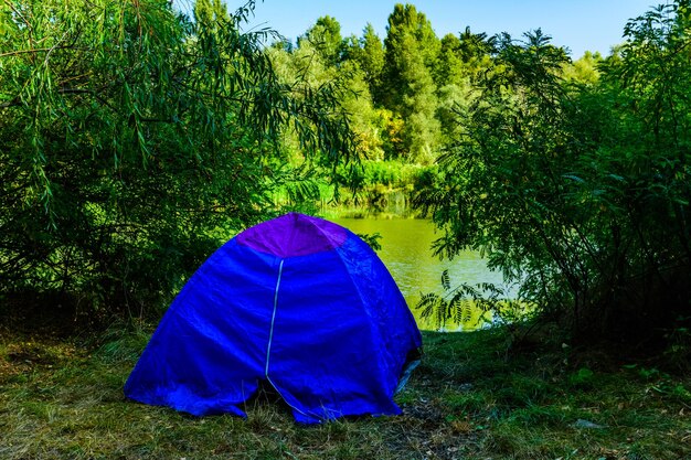 Foto blauwe tent in een bos in de zomer