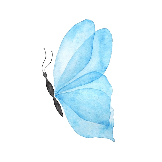 Blauwe vlinder aquarel