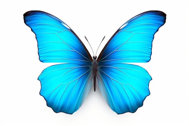 Blauwe vlinder natuurlijk insect geïsoleerd op witte achtergrond