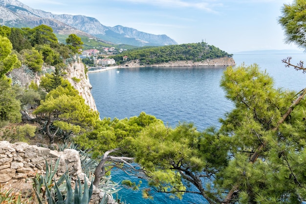 Blauwe zee en groene pijnbomen aan de Adriatische kust in Kroatië.