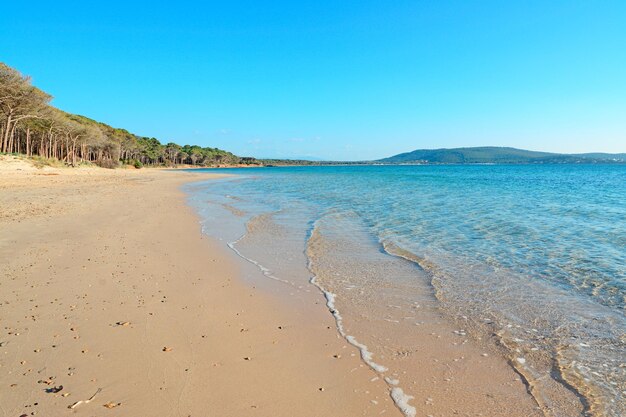 Blauwe zee in Mugoni strand Sardinië