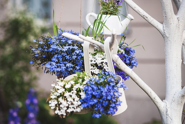 Blauwwitte lobelia-bloemen in plantenhangers die buiten groeien, hangende planthouderideeën voor tuinen