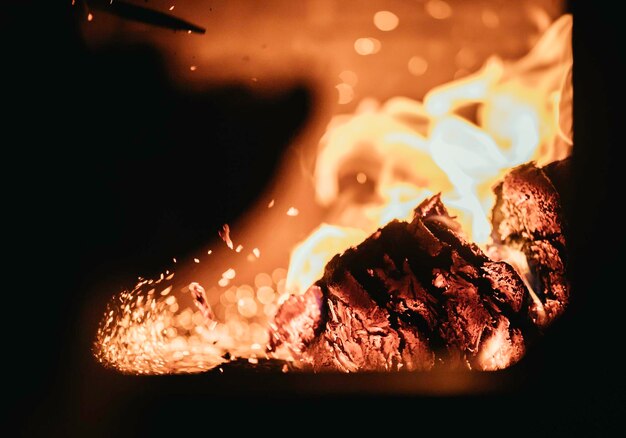 Blaze vuurvlam in oven oranje en zwart