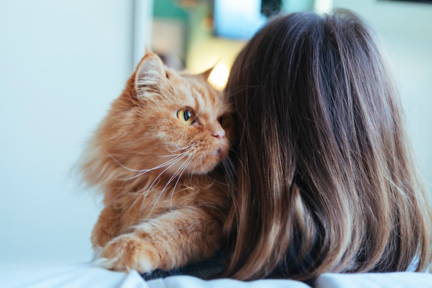 Blij geadopteerde kat met nieuwe eigenaar