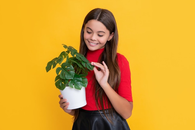 Blij kind met monstera in pot op gele achtergrond