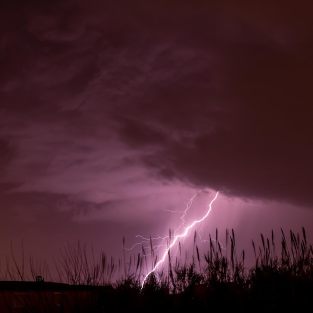 Bliksem onweer in de avondlucht