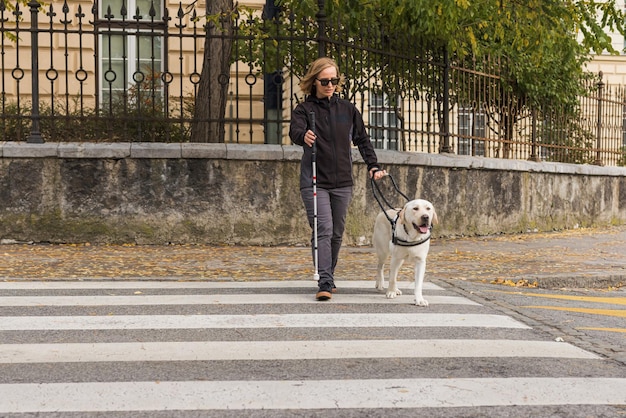 Blinde vrouw en haar gidshond lopen en oversteken een straat