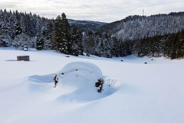 눈 덮인 겨울 산 Small Tatras Carpathians Slovakia의 들판에 눈보라