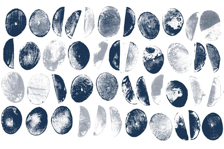 Photo block print png circle pattern background in blue