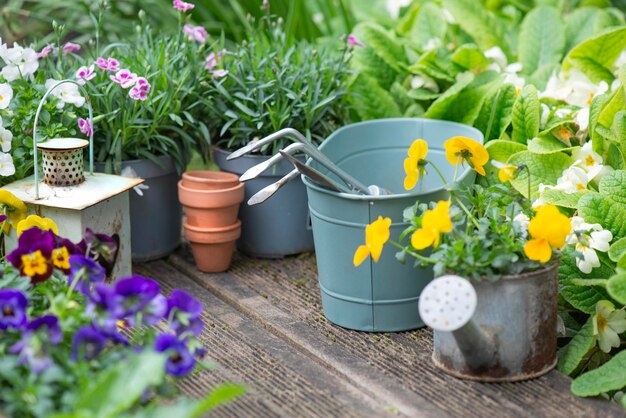 Foto bloeiende bloemen en gerangschikt in een tuin houten terras met tuingereedschap