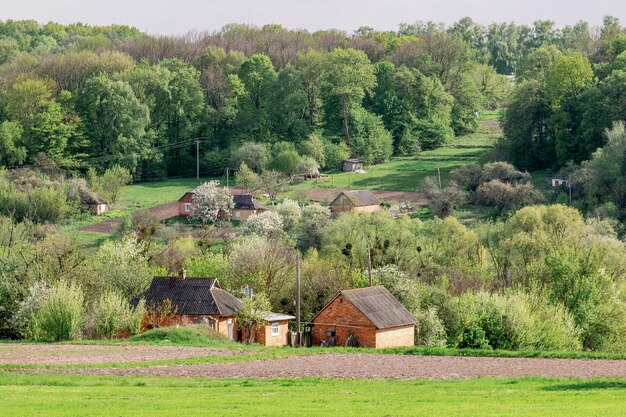 Bloeiende bomen in de landelijke lodges van het dorp tussen bloeiende tuinen