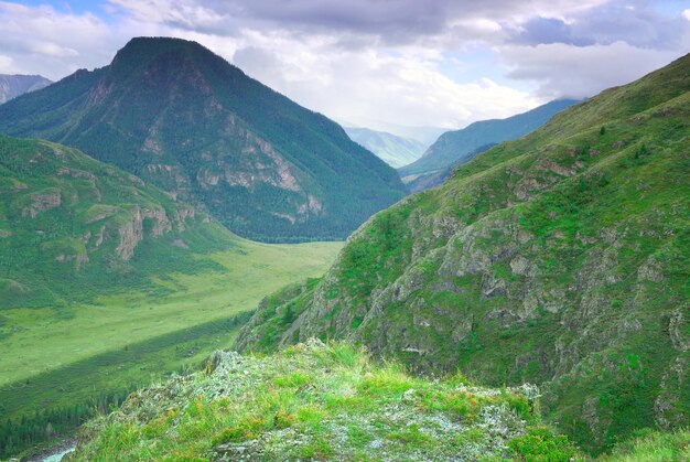 Bloeiende hellingen in de zomer een rotsachtige bergkam in de verte Siberië Rusland