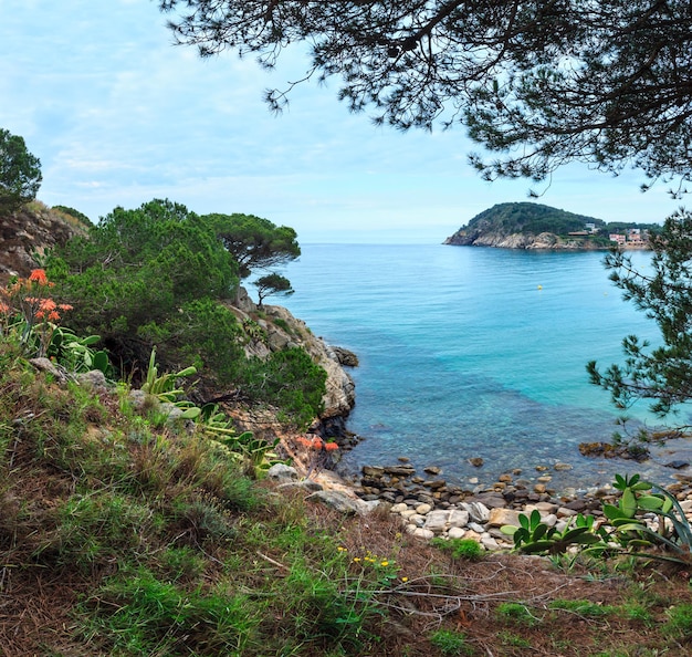 Bloeiende kust van Palamos Zomerochtend landschap Girona Costa Brava Spanje