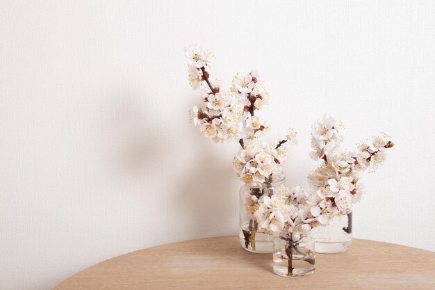 Bloeiende lentetakjes in potjes op tafel in een huiselijk gezellig interieur