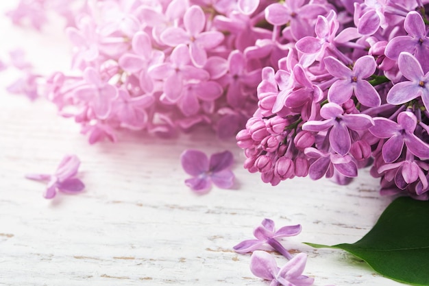 Bloeiende lila bloemen Boeket van verse seringen in het voorjaar op witte houten achtergrond met zonnestralen Frame voor verjaardagsuitnodiging bruiloft of verloving Dromerige zachte lucht artistiek beeld Soft focus