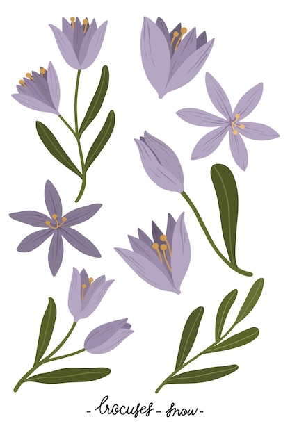 Bloeiende paarse bloem doorzichtig png