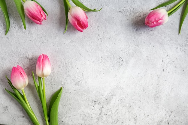 Bloeiende roze tulpen met groene bladeren op grijze betonnen ondergrond, plat gelegd met kopieerruimte