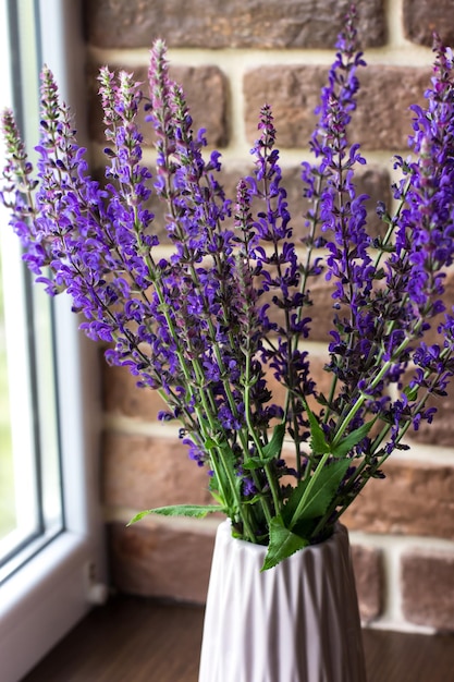 Bloeiende saliebloemen Boeket paarse bloemen bij het raam tegen de achtergrond van een bakstenen muur