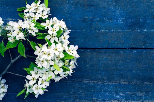 Bloeiende tak van de appelboom op een blauwe tafel