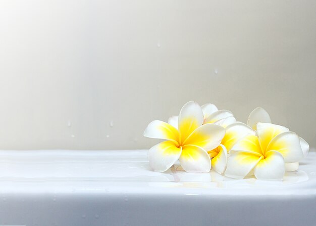 Bloeiende witte bloemen Plumeria of Frangipani op witte ceramische vloer