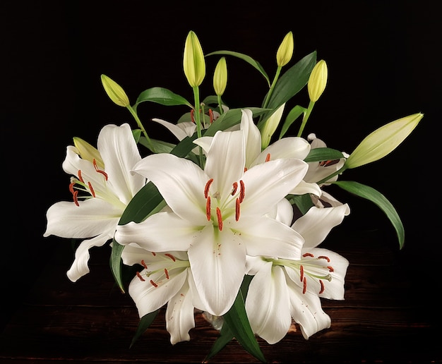 Bloeiende witte lelie bloemknoppen in vaas op donkere achtergrond. Close-up, macro