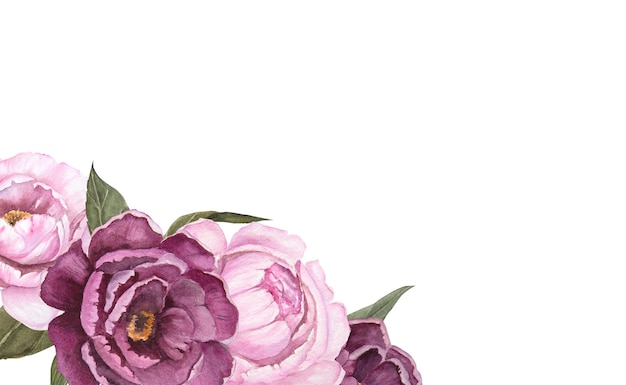Bloem aquarel illustratie van pioenrozen geïsoleerd boeket bloemen hoek frame