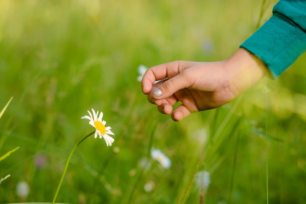 Bloem en hand