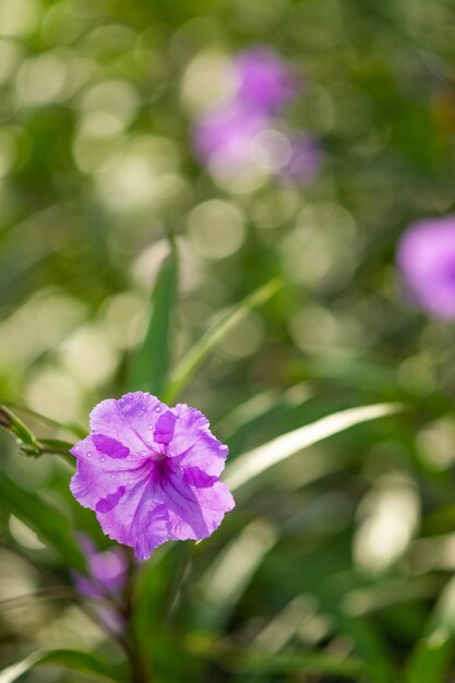 Bloem en vers in de tuin. Bloem en kopieer ruimte. selectieve aandacht.