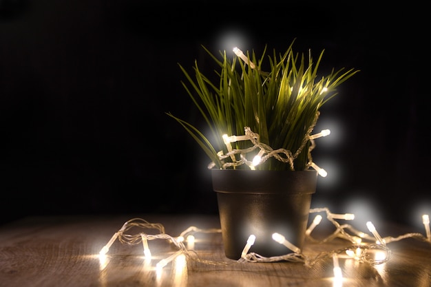 Bloem in een pot in de het concepten van bedrijfs Kerstmislichten boom